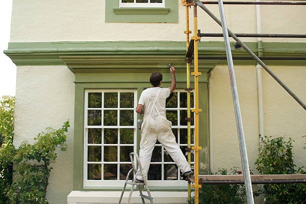 Building painting service